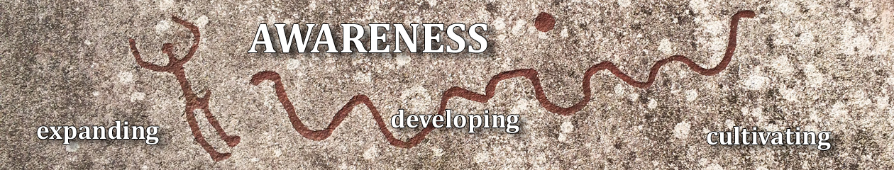 Awareness